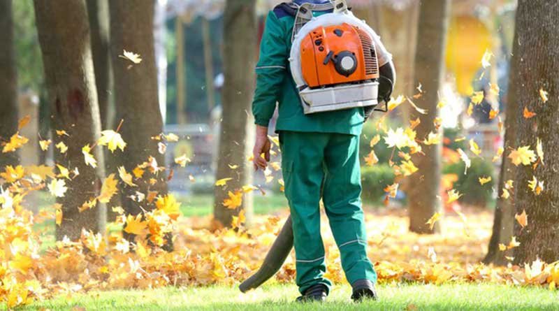 Leaf Blowers