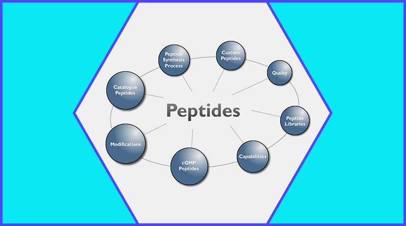 WHAT ARE THE SIDE EFFECTS OF PEPTIDES