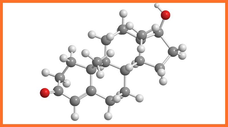 Testosterone Therapy