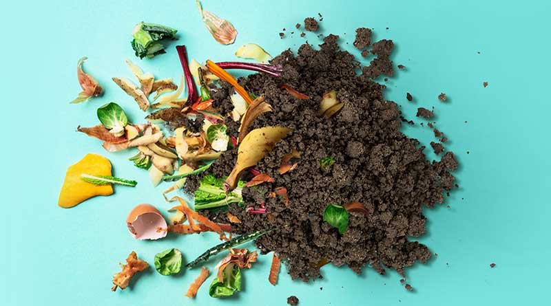 Get Started with Home Composting