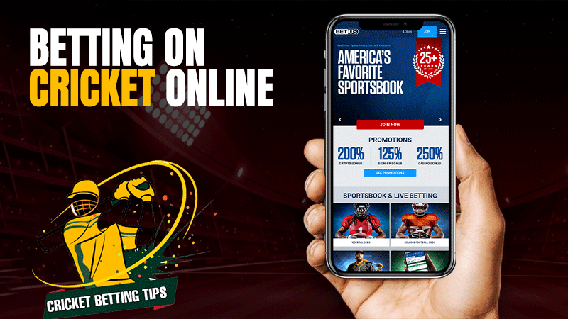 Stay Safe When Betting on Cricket Online