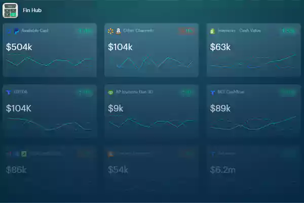 eCommerce Fin Hub dashboard of Triple Whale